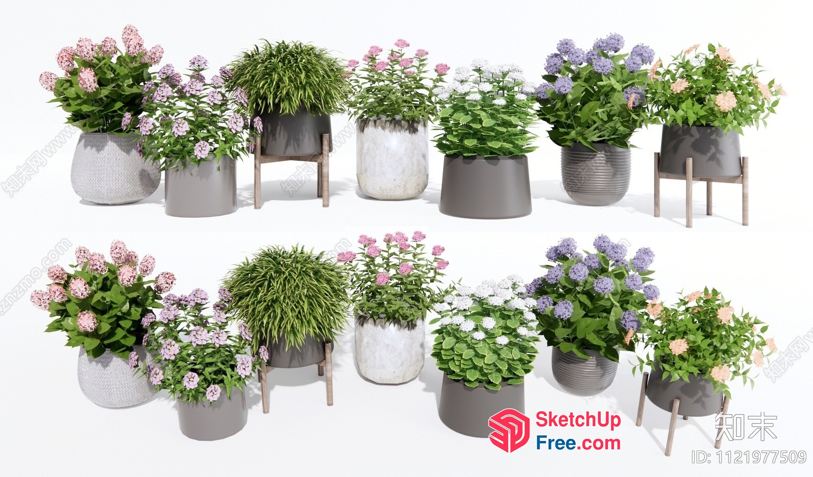 Potted Plants With Flowers And Greenery 3D SketchUp File
