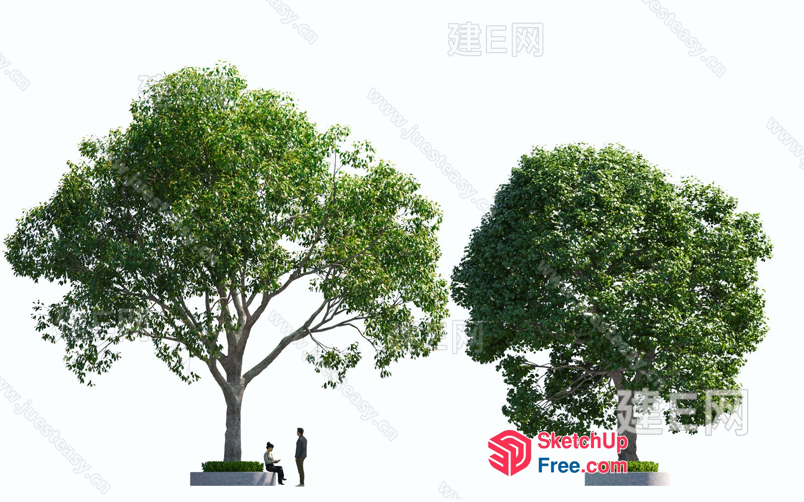 Two People Sitting Under Large Trees 3D SketchUp File