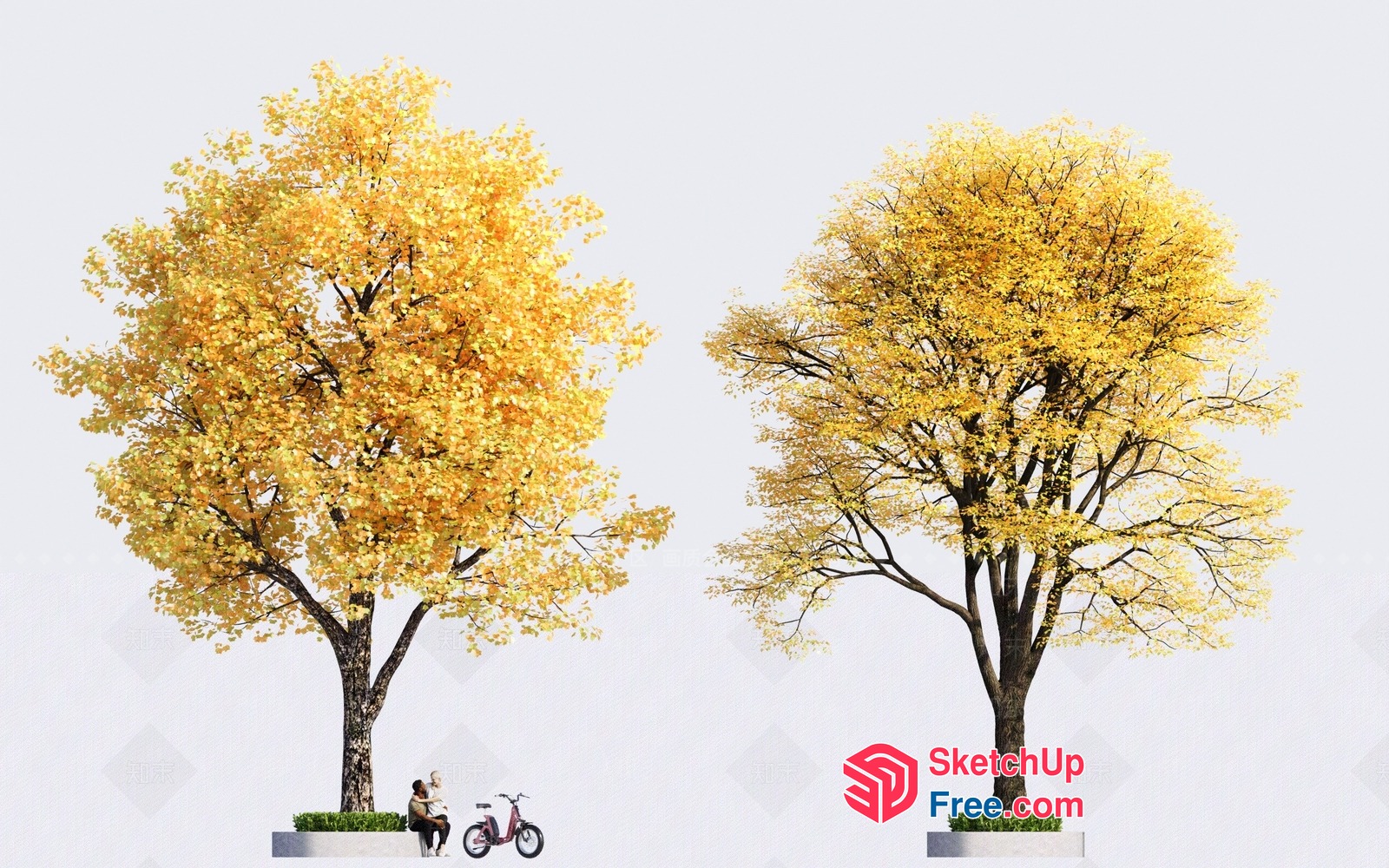 Couple Enjoying Autumn Day 3D SketchUp File
