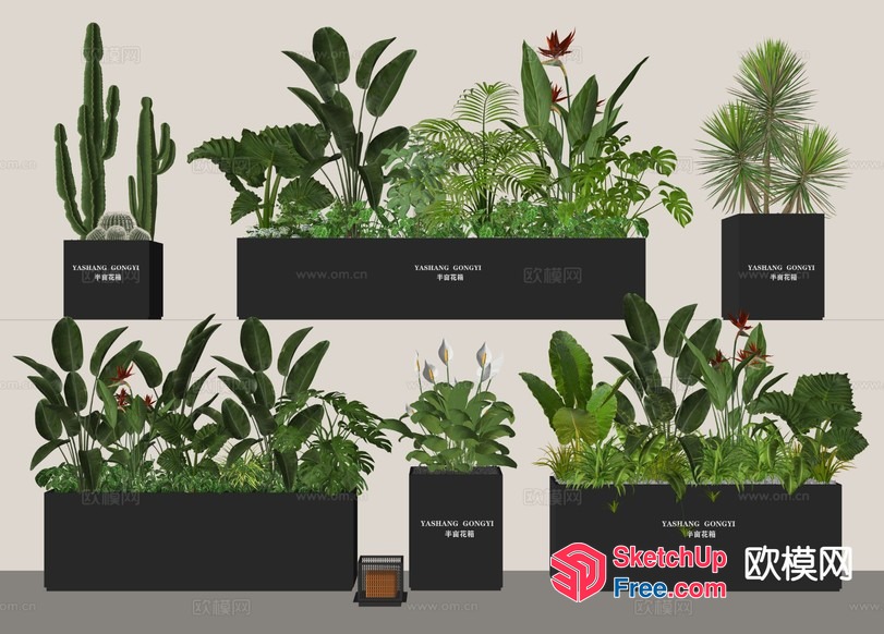 Various Plants In Pots 3D SketchUp File
