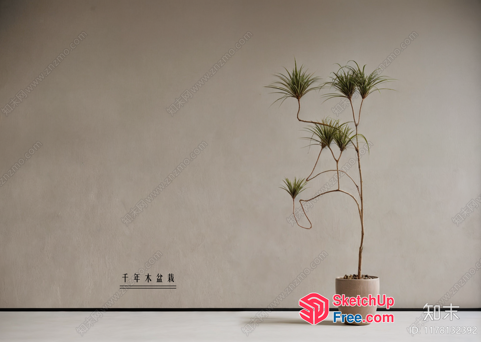 Minimalist Interior With A Potted Plant 3D SketchUp File