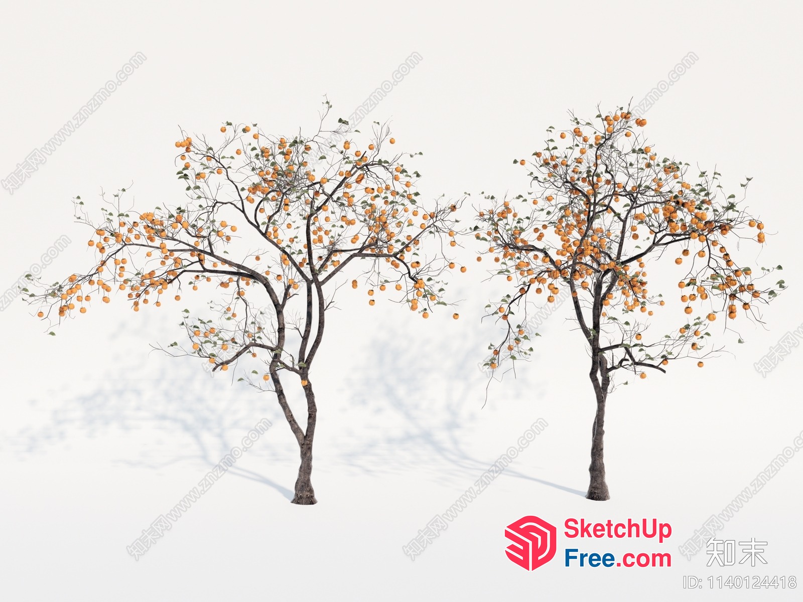 Two Trees With Orange Fruit 3D SketchUp File