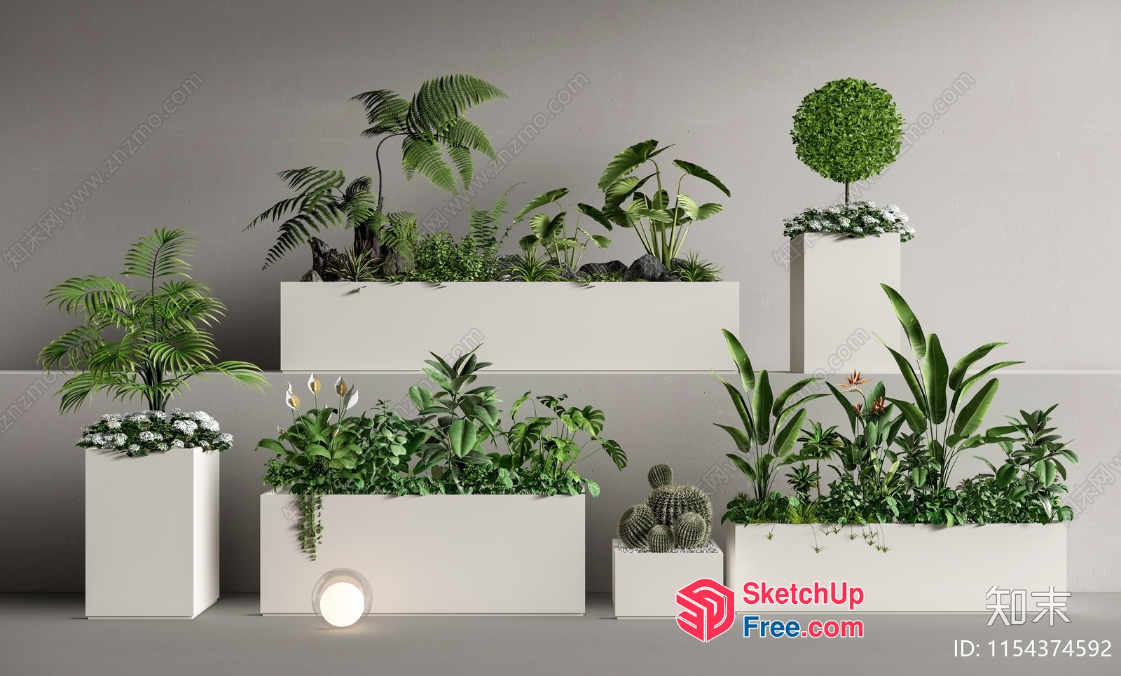 Modern White Planters With Various Green Plants And Cacti 3D SketchUp File