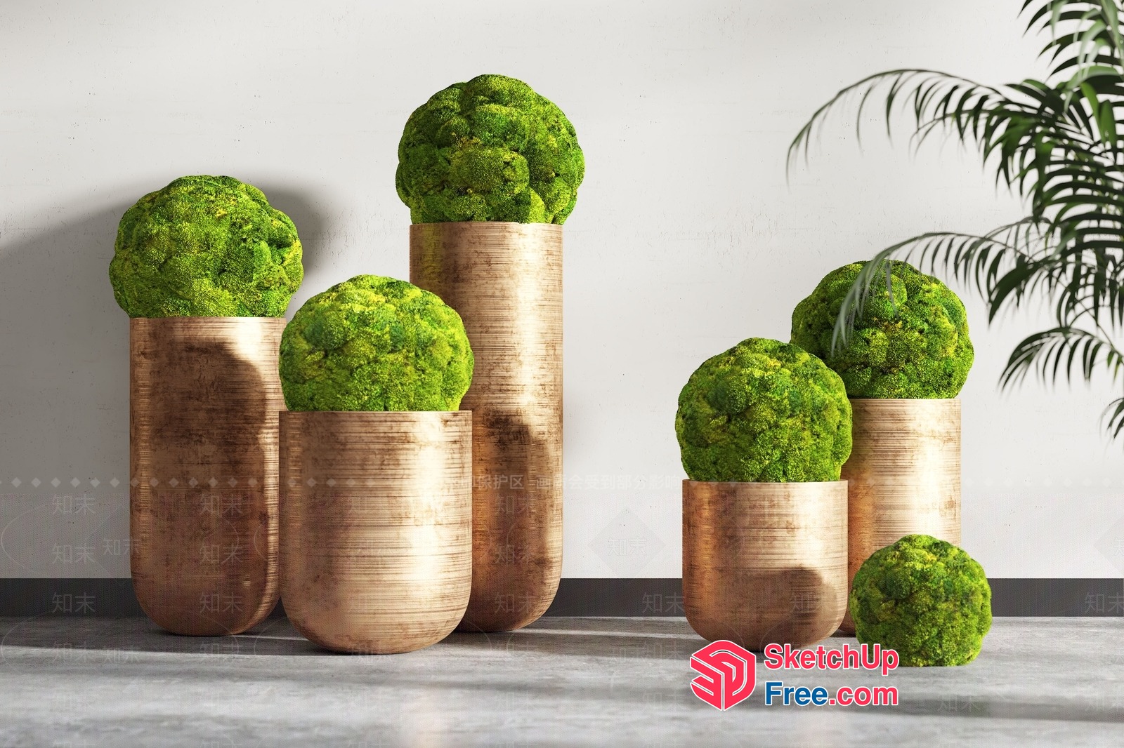 Elegant Moss Decor In Tall Wooden Vases 3D SketchUp File