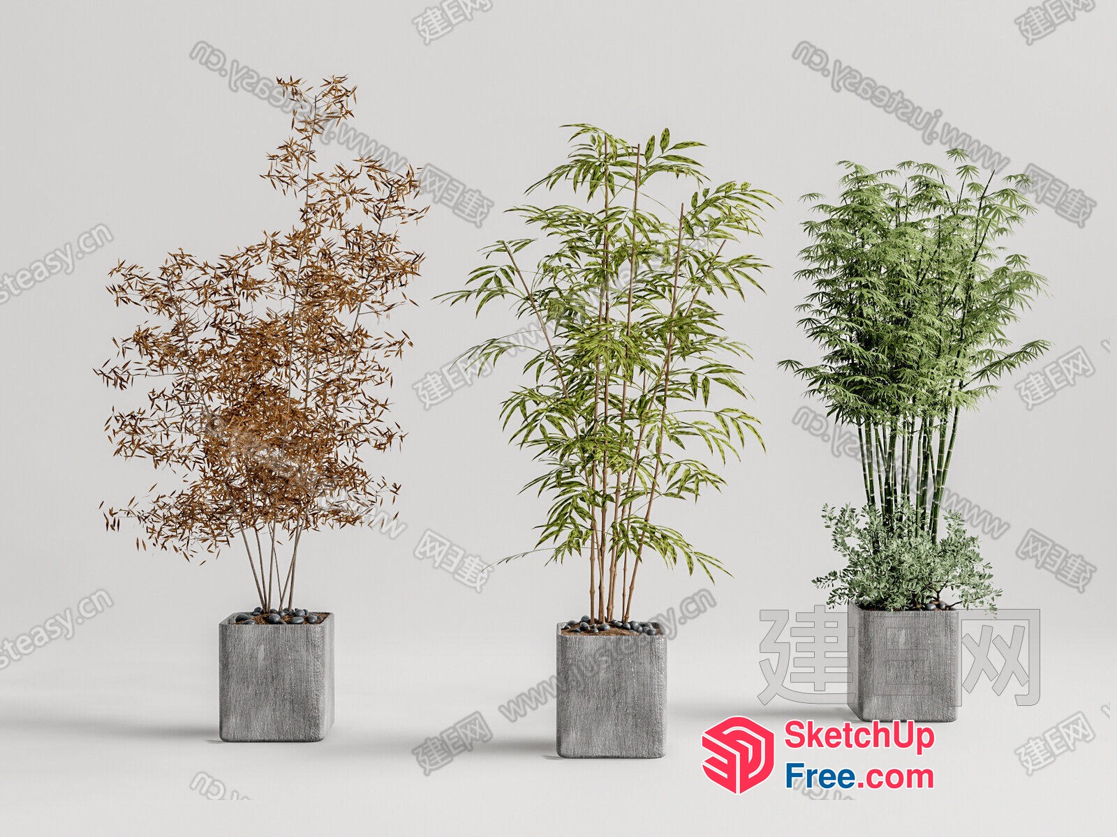 Three Potted Plants In Different Stages Of Growth 3D SketchUp File