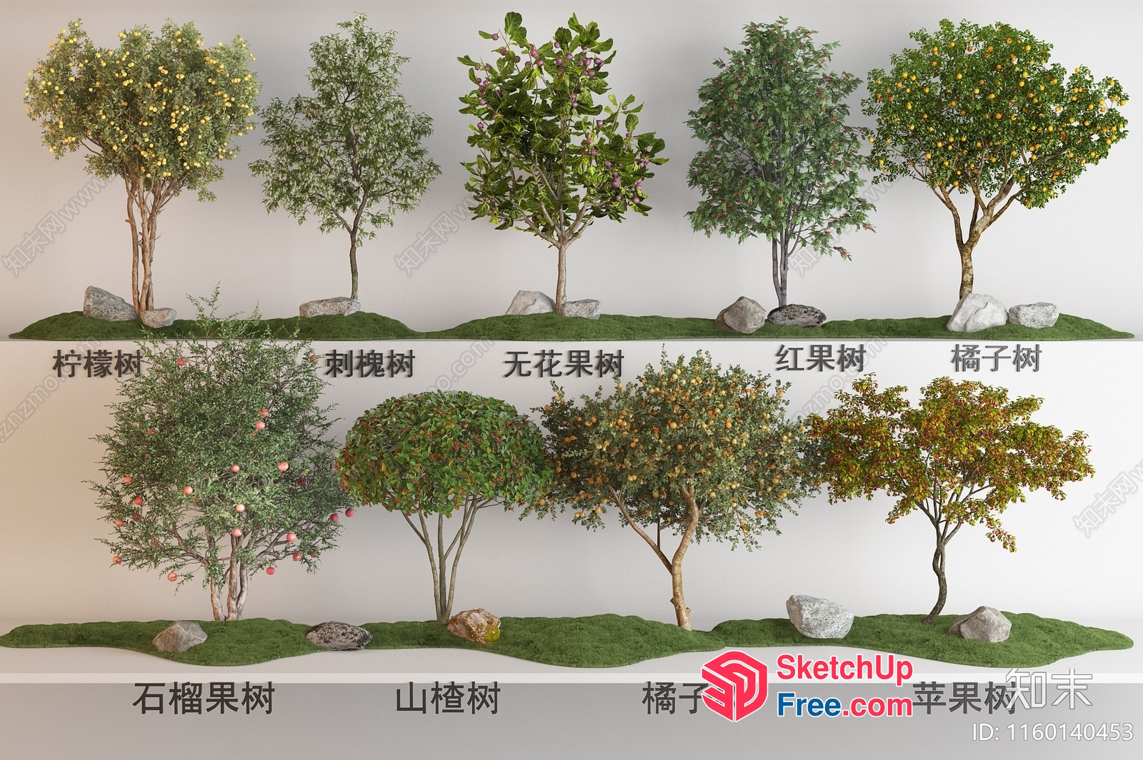 Collection Of Trees In Various Styles 3D SketchUp File