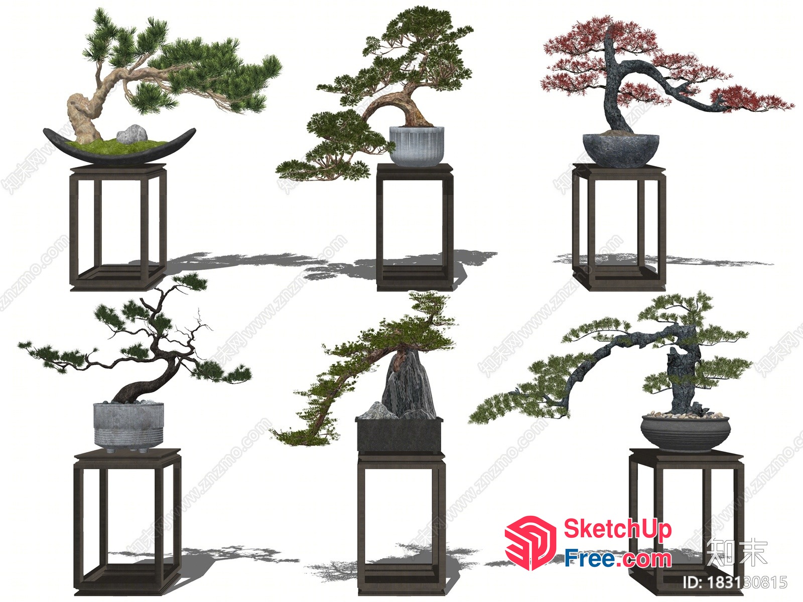 Exquisite Japanese Bonsai Tree Collection 3D SketchUp File