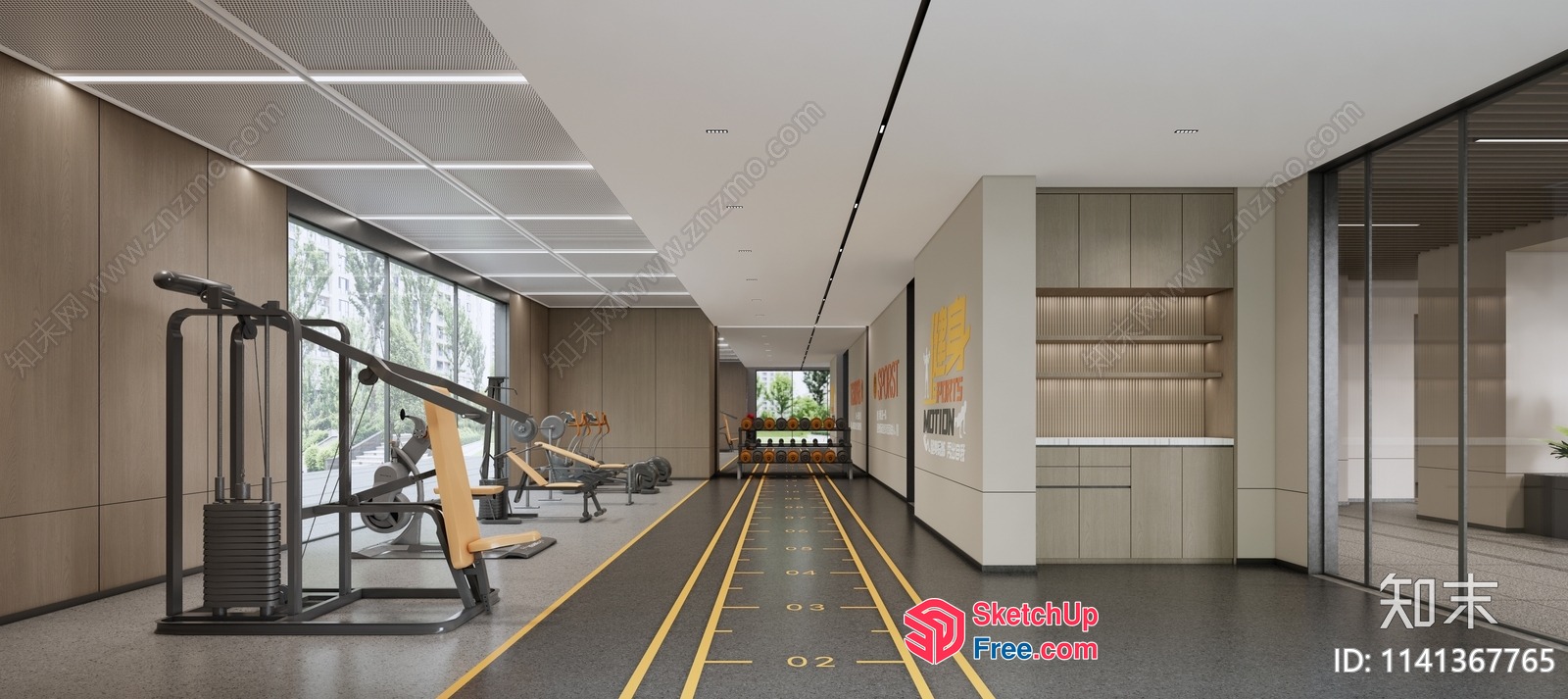 Modern Gym With Sleek Equipment And Spacious Layout 3D SketchUp File