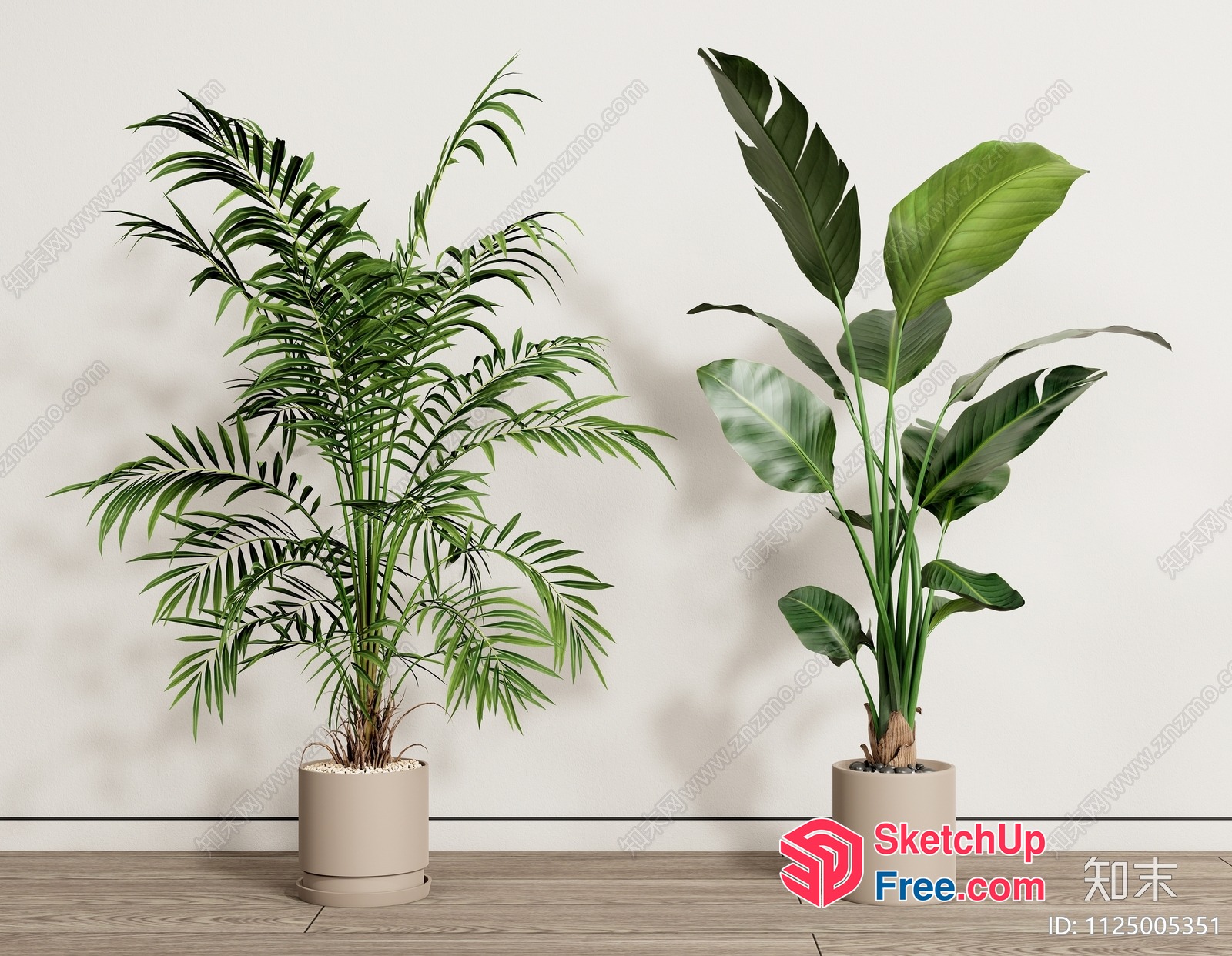 Two Potted Plants In The Room 3D SketchUp File