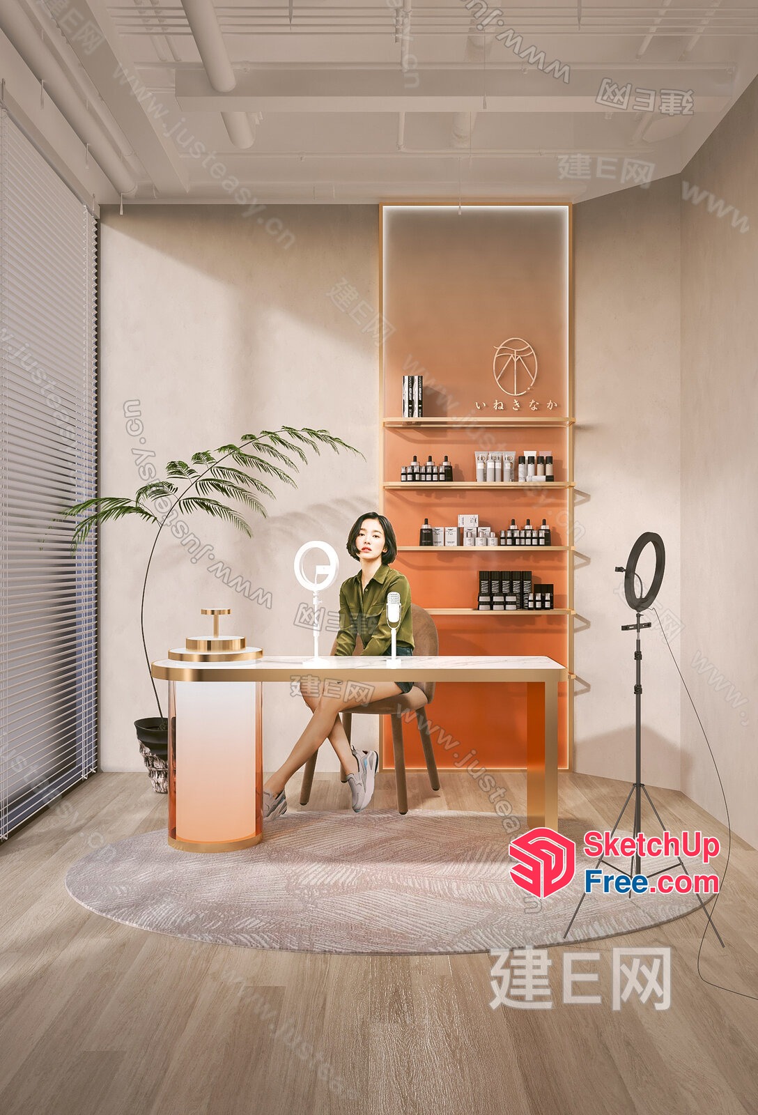 Modern Office Interior With Sleek Furniture And Minimalist Decor 3D SketchUp File