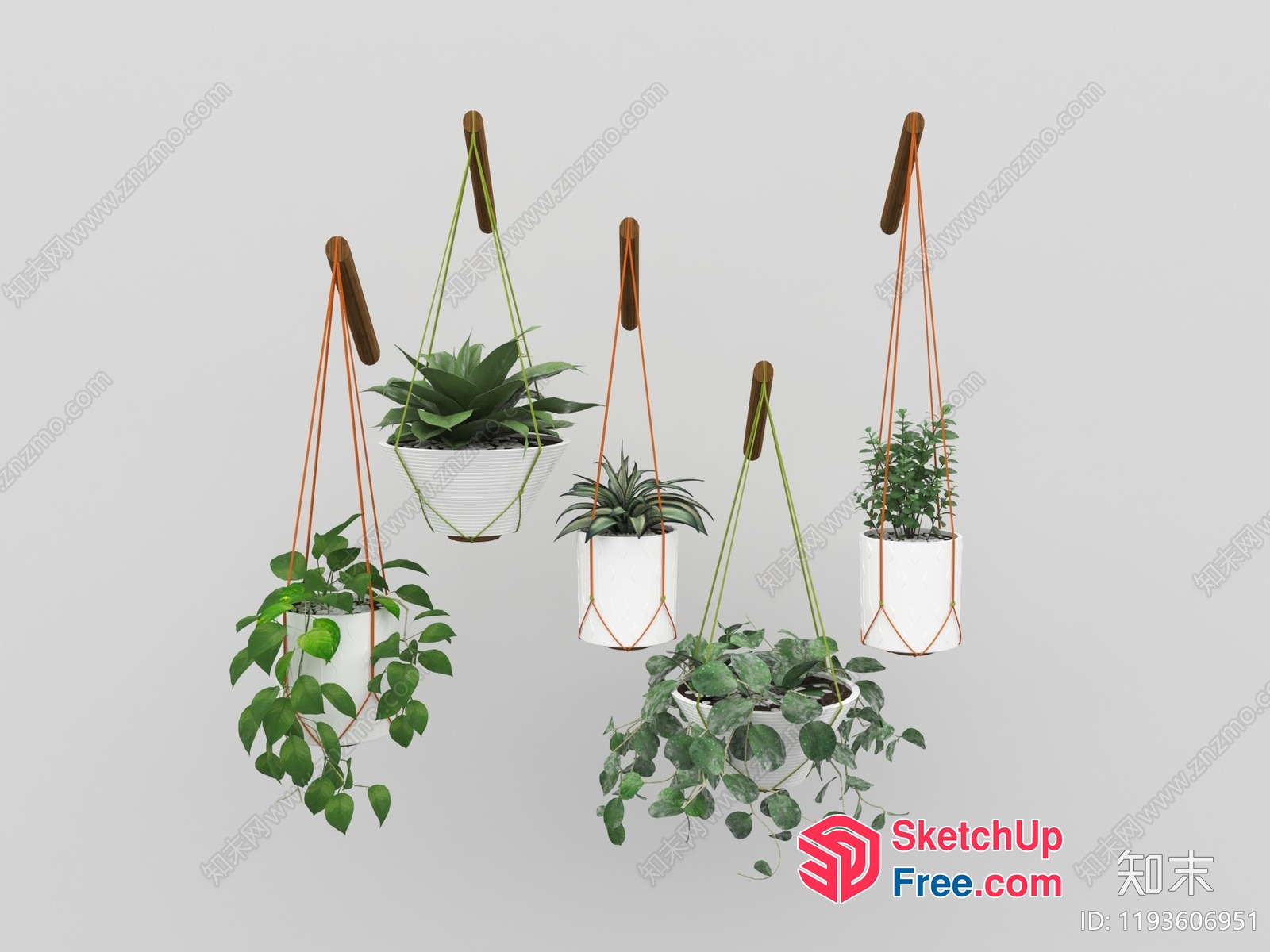 Hanging Planters In White Pots With Green Straps 3D SketchUp File