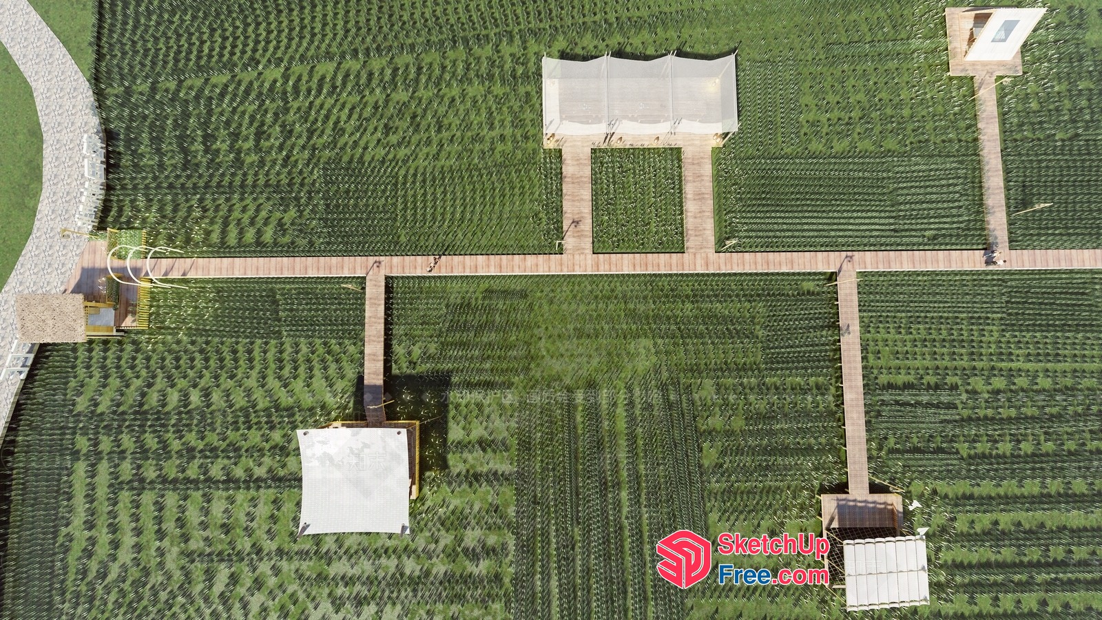 Agricultural Field With Greenhouses And Wooden Pathways 3D SketchUp File