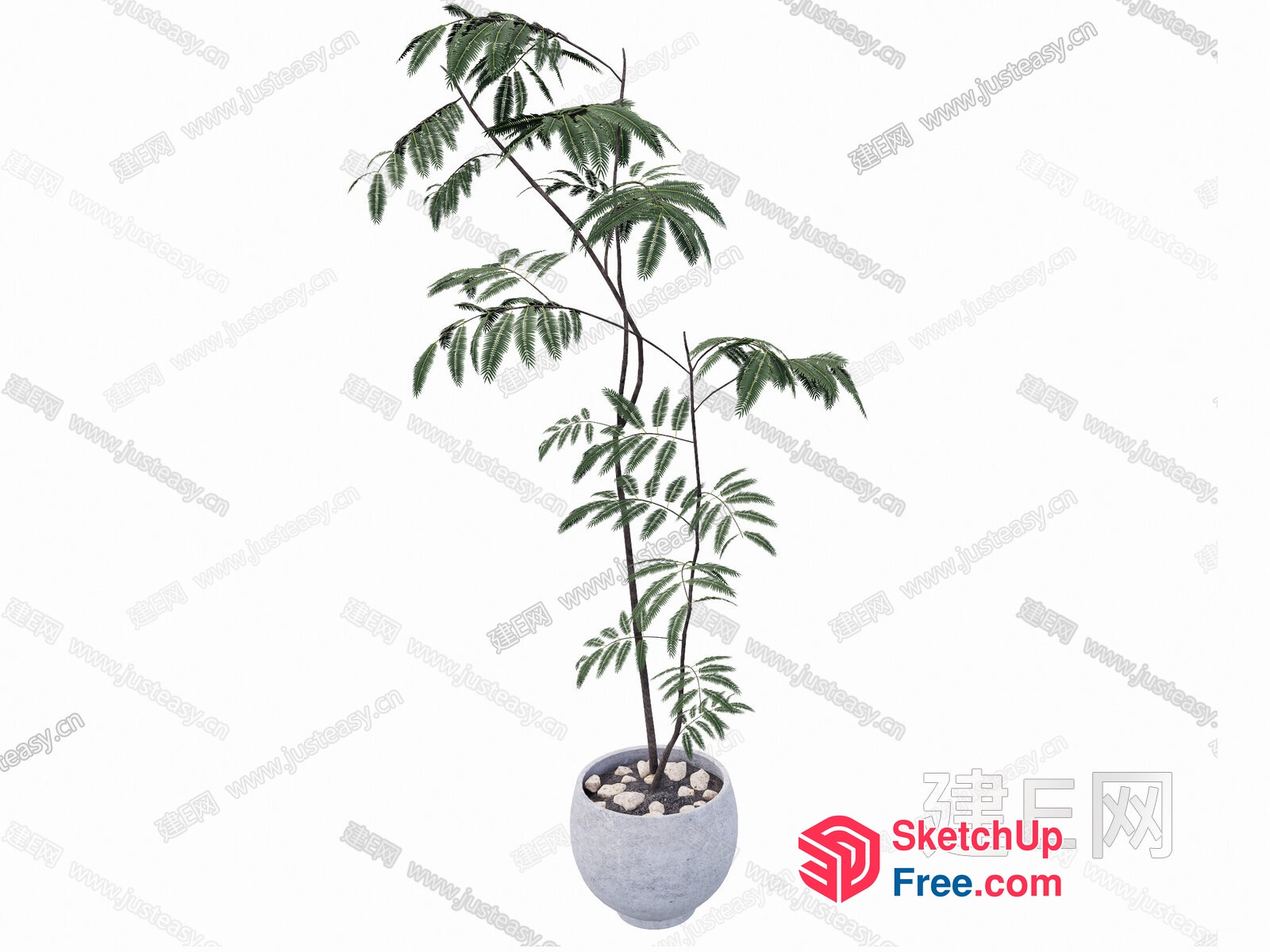 Potted Plant With Decorative Stones 3D SketchUp File