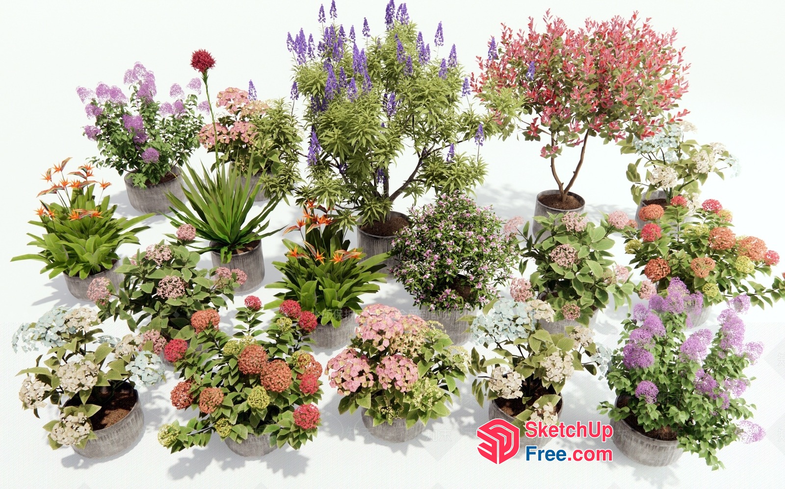 Colorful Flower Arrangement In Potted Plants 3D SketchUp File