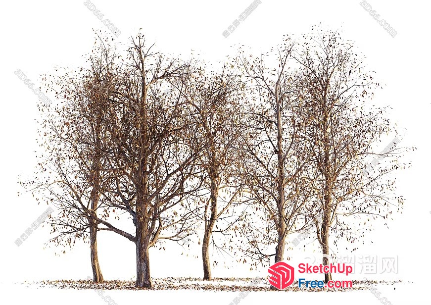 A Group Of Trees Standing Together In A Field 3D SketchUp File