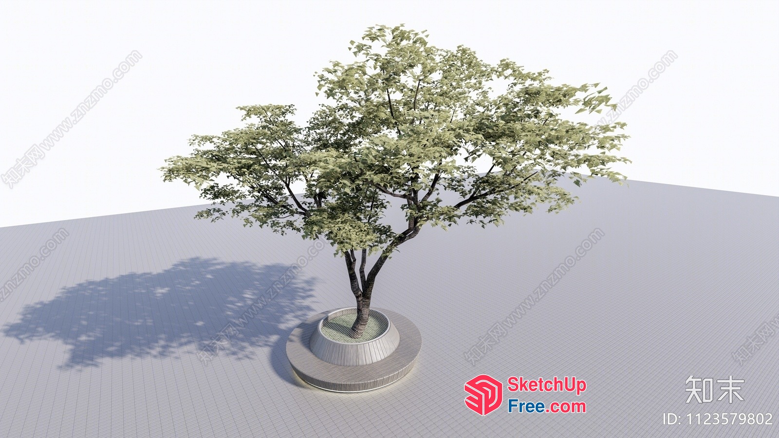 3D Model Of A Tree In A Planter 3D SketchUp File