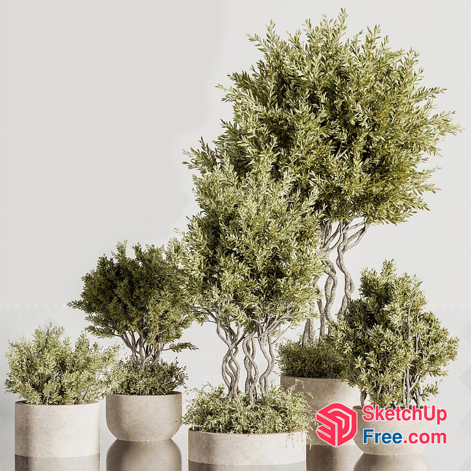 Greenery Decorative Potted Plants 3D SketchUp File