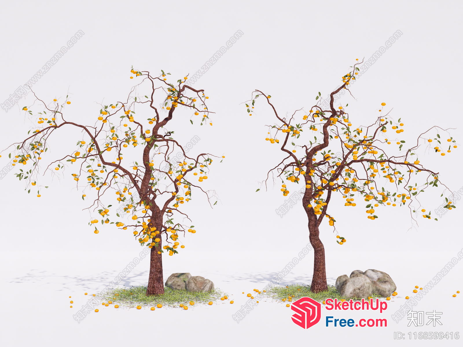 Two Trees With Yellow Fruit And Branches 3D SketchUp File