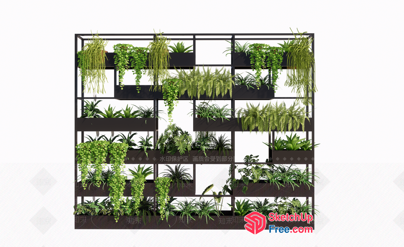 Modern Green Wall With Various Plants And Decorative Elements 3D SketchUp File
