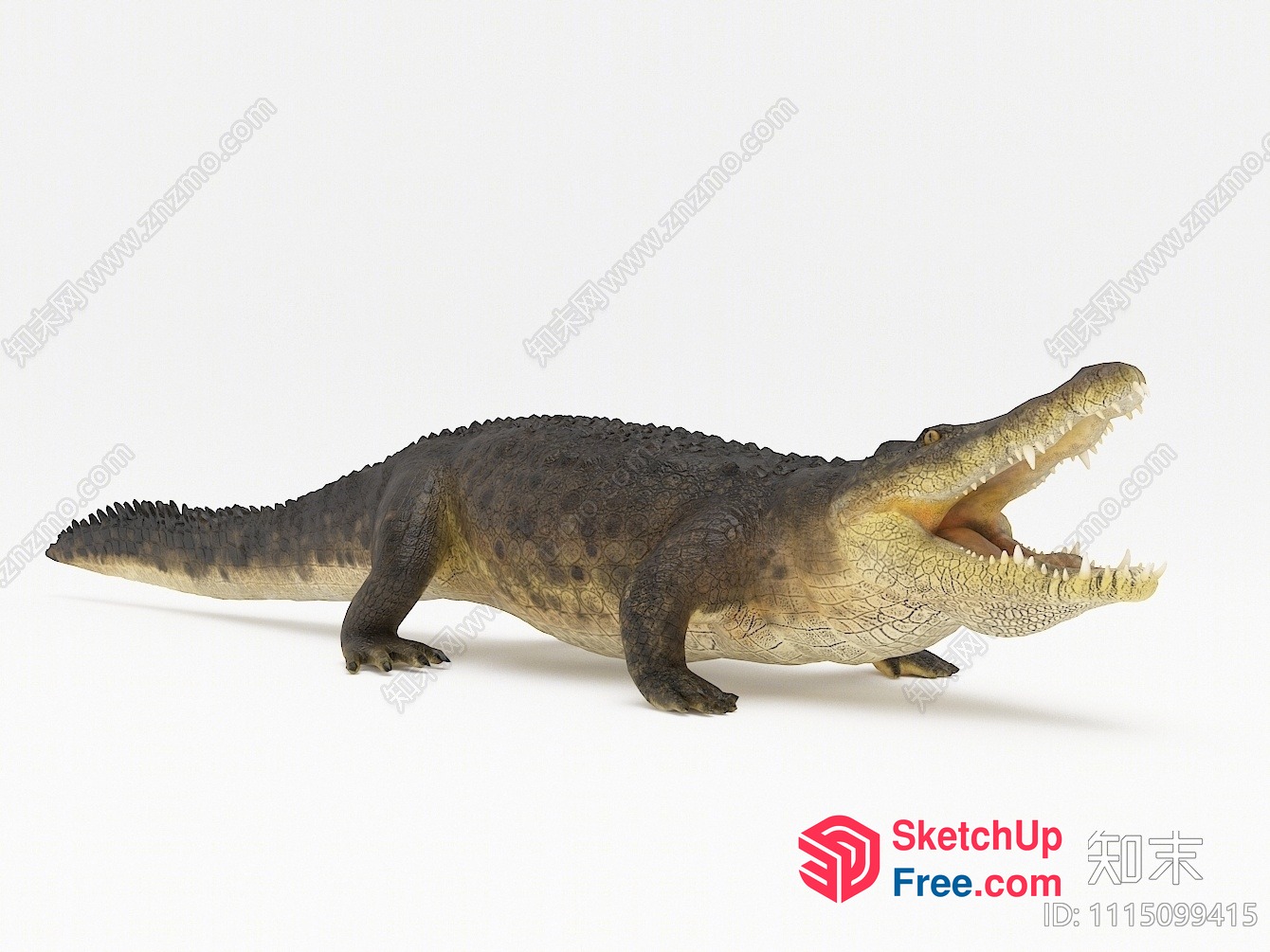 Large Crocodile With Open Mouth 3D SketchUp File