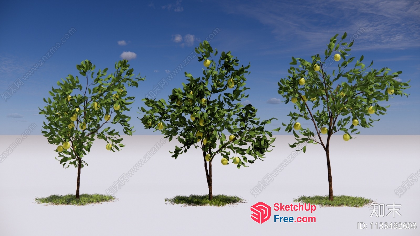 Lemon Trees In A Desert Landscape 3D SketchUp File