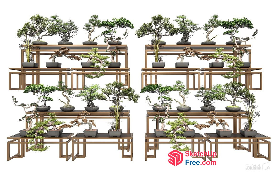 Bonsai Tree Display 3D SketchUp File