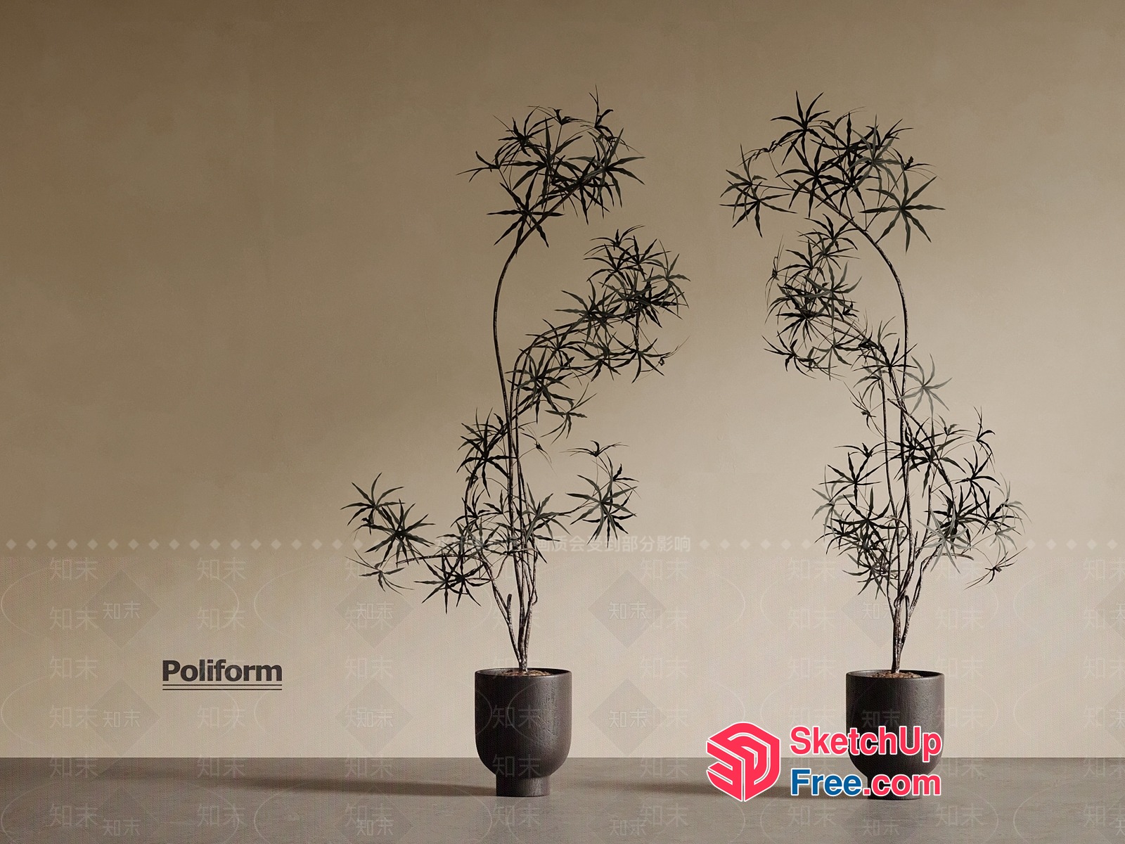 Poliform Potted Plants 3D SketchUp File