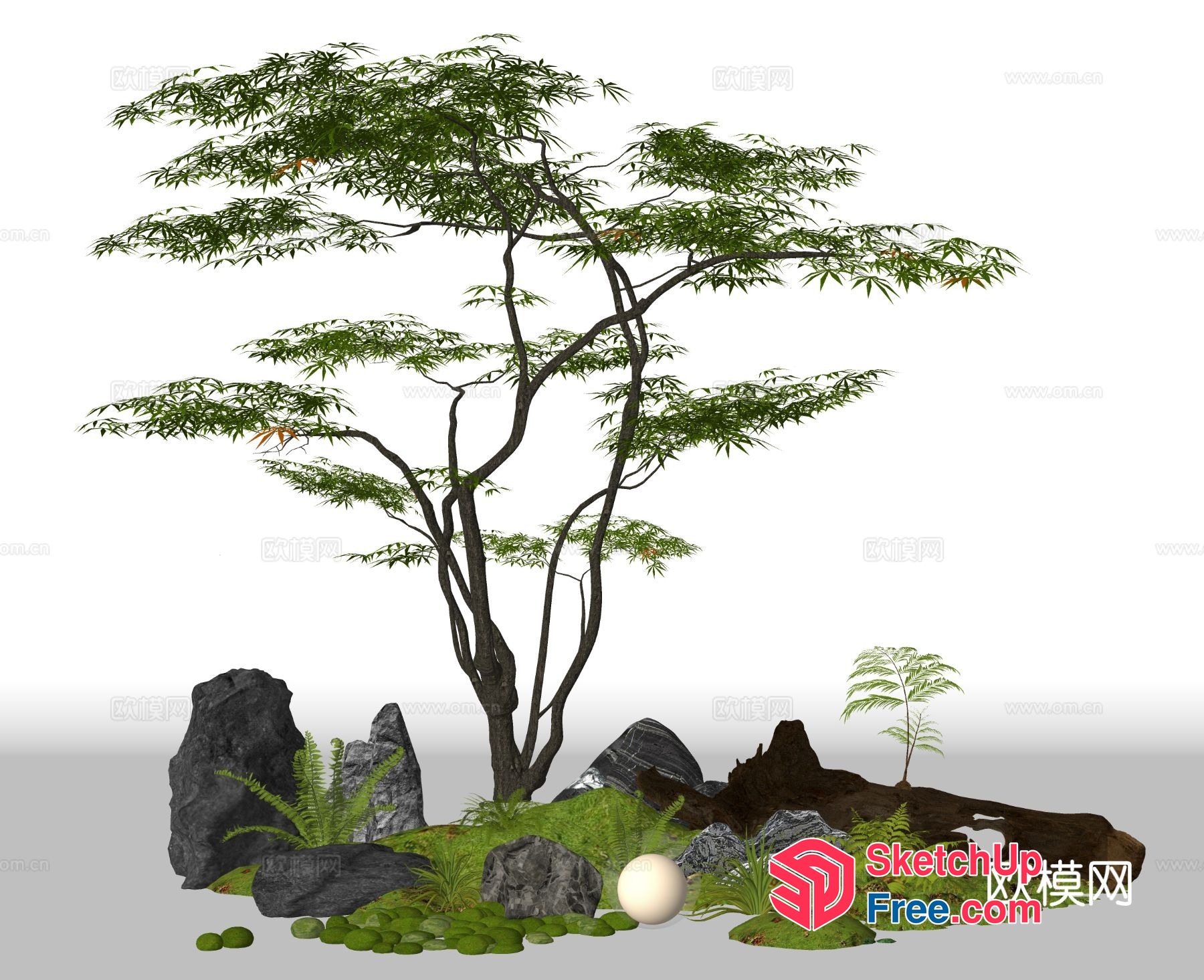 Japanese Style Rockery Garden With Tree 3D SketchUp File