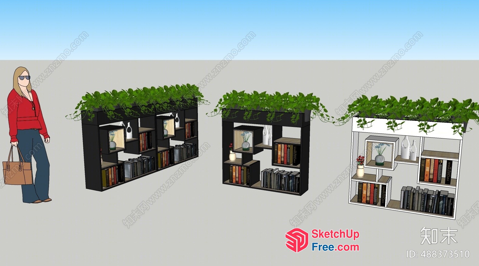 3D Shelf Display With Plants 3D SketchUp File