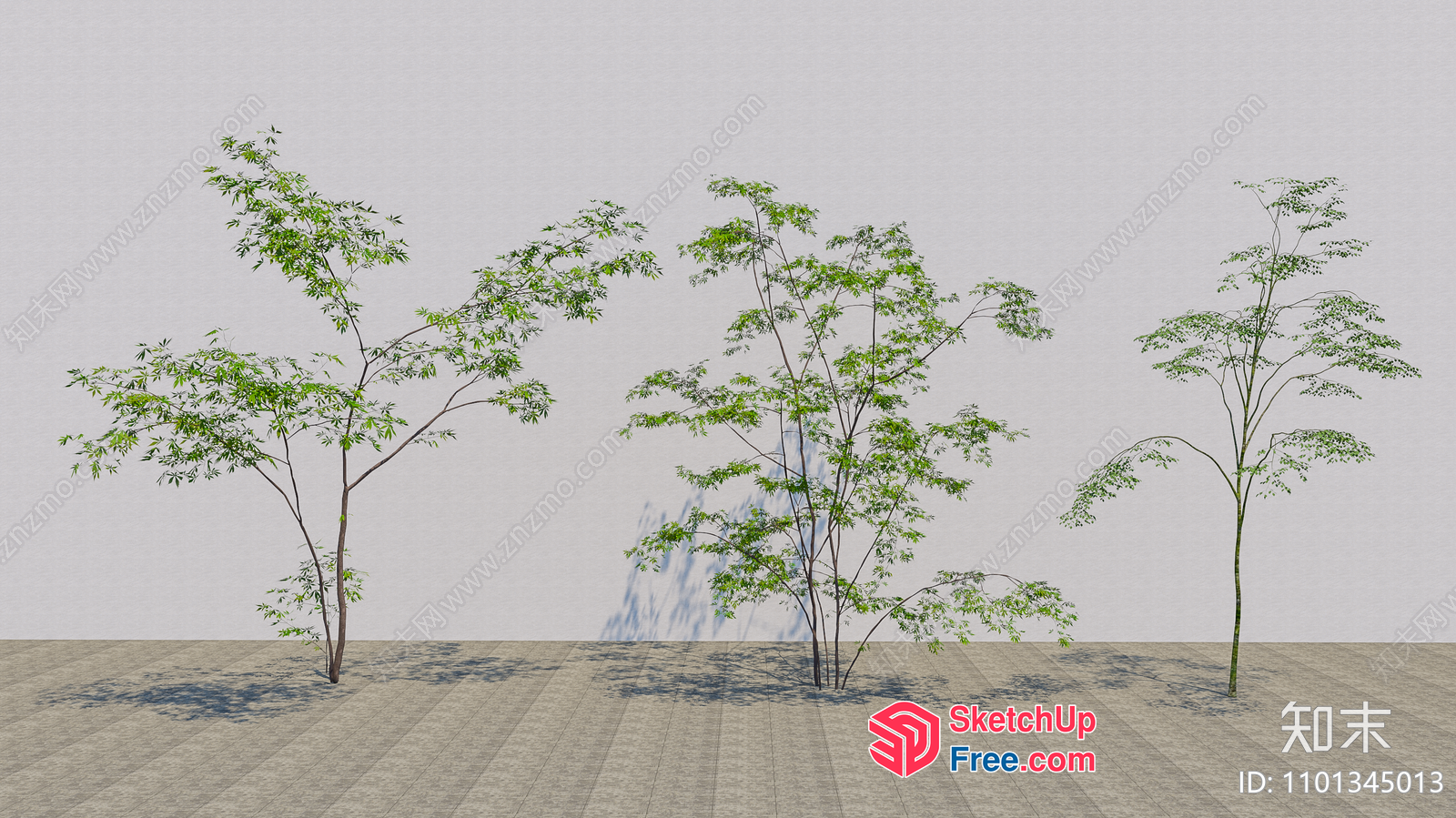 3D Rendered Trees In A Minimalist Setting 3D SketchUp File