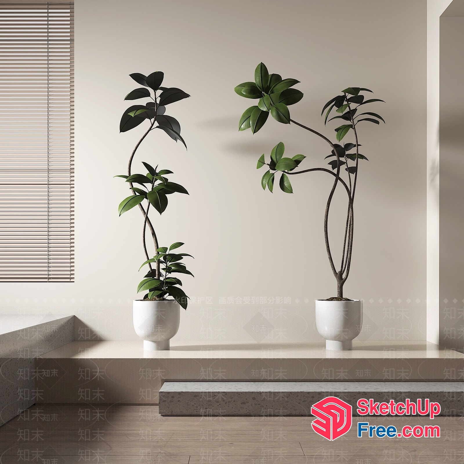 Two Potted Plants In Modern Minimalist Interior 3D SketchUp File