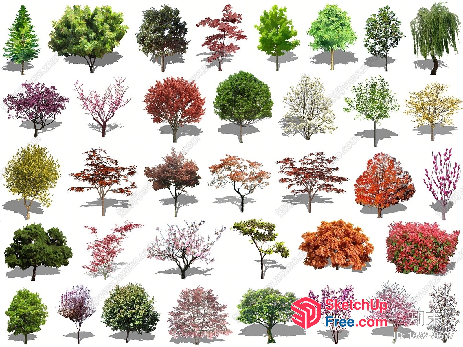 Various Trees In Different Styles 3D SketchUp File