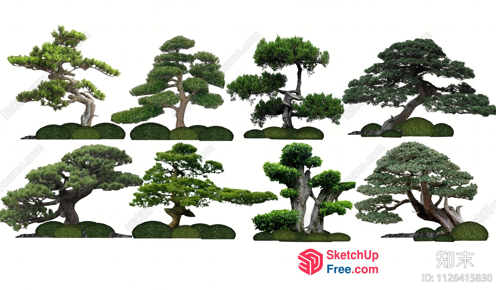 Japanese Style Bonsai Trees In A Decorative Landscape 3D SketchUp File