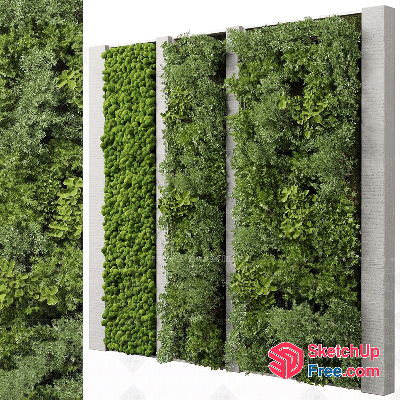 Lush Greenery Vertical Garden 3D SketchUp File