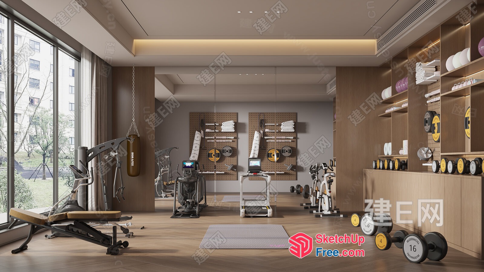 Modern Gym Interior With Natural Light 3D SketchUp File