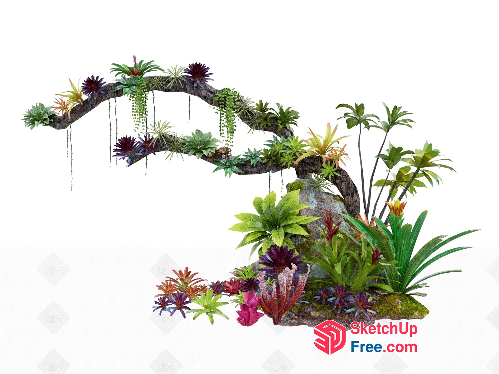 Exotic Tropical Plant Arrangement On A Curved Branch 3D SketchUp File