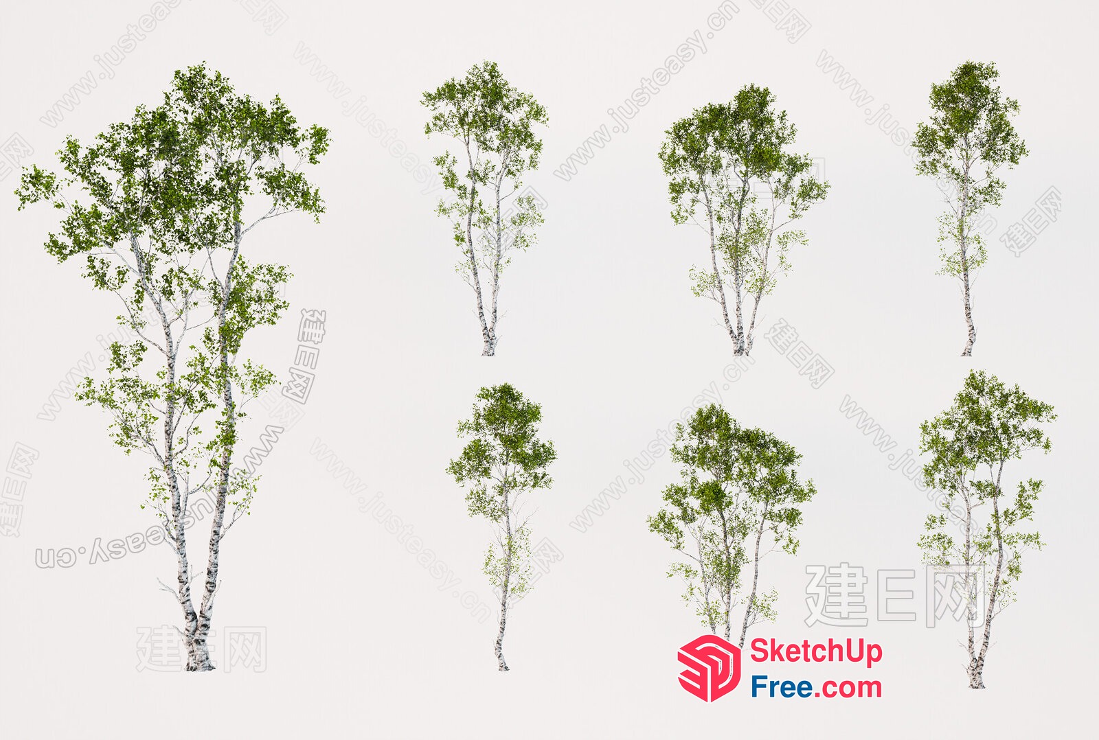 7 Trees Of Different Sizes And Shapes 3D SketchUp File