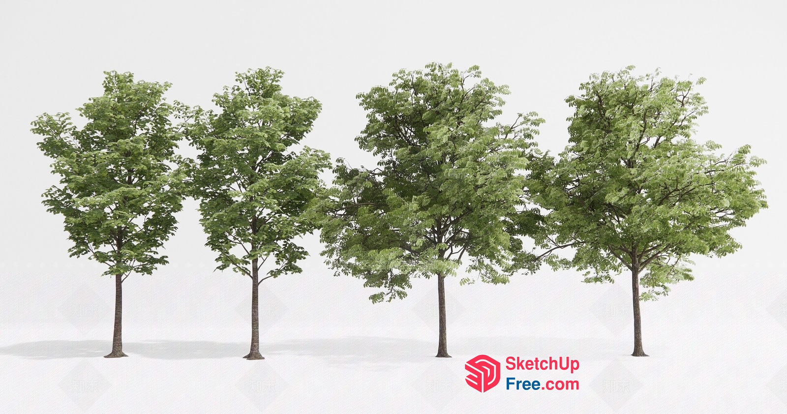 Four Trees In A Row 3D SketchUp File