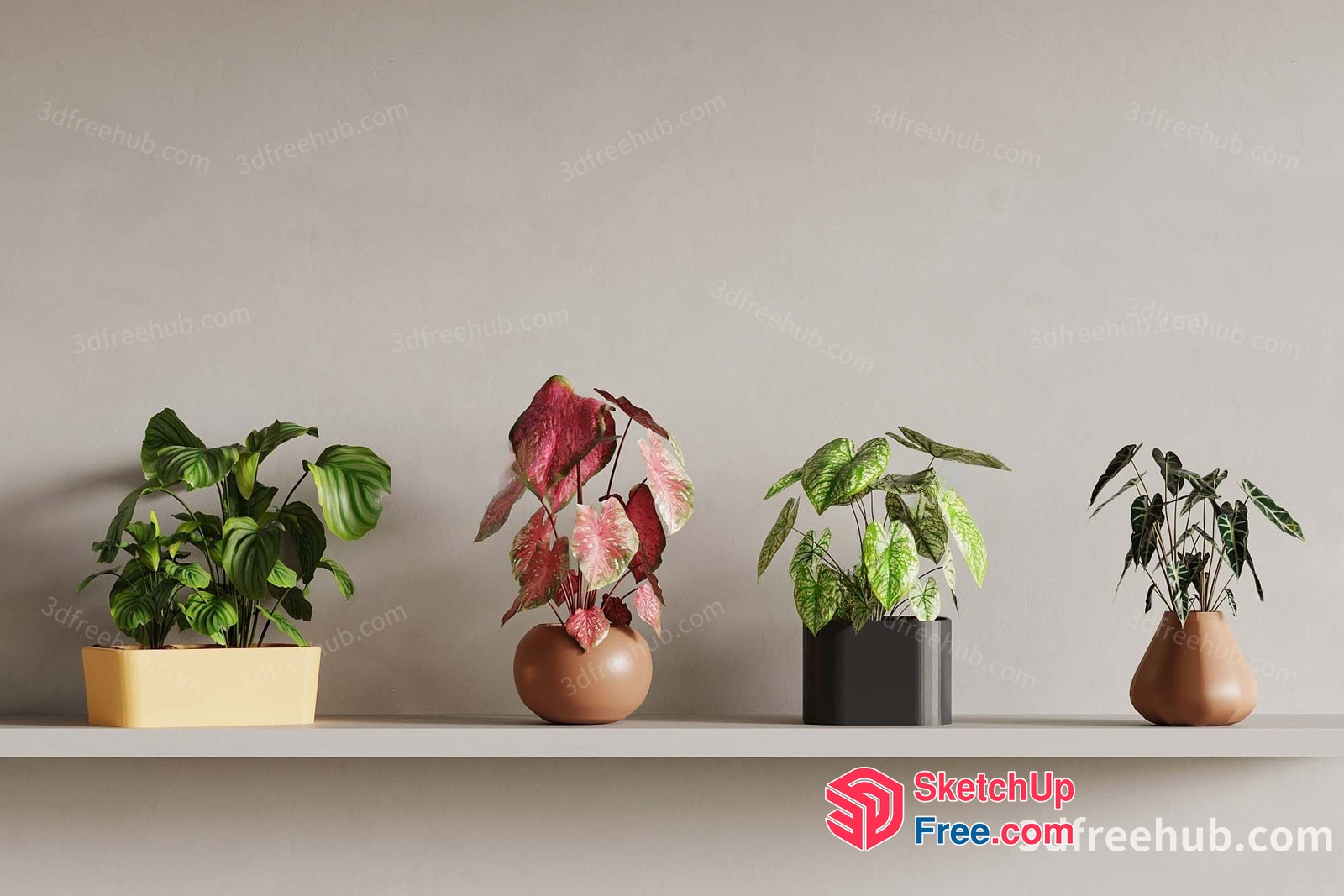 Potted Plants On Shelf 3D SketchUp File
