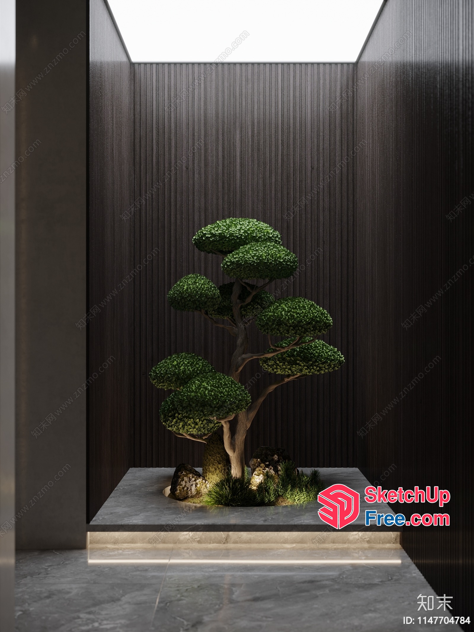 Elegant Modern Interior Design With Sleek Tree Decor 3D SketchUp File