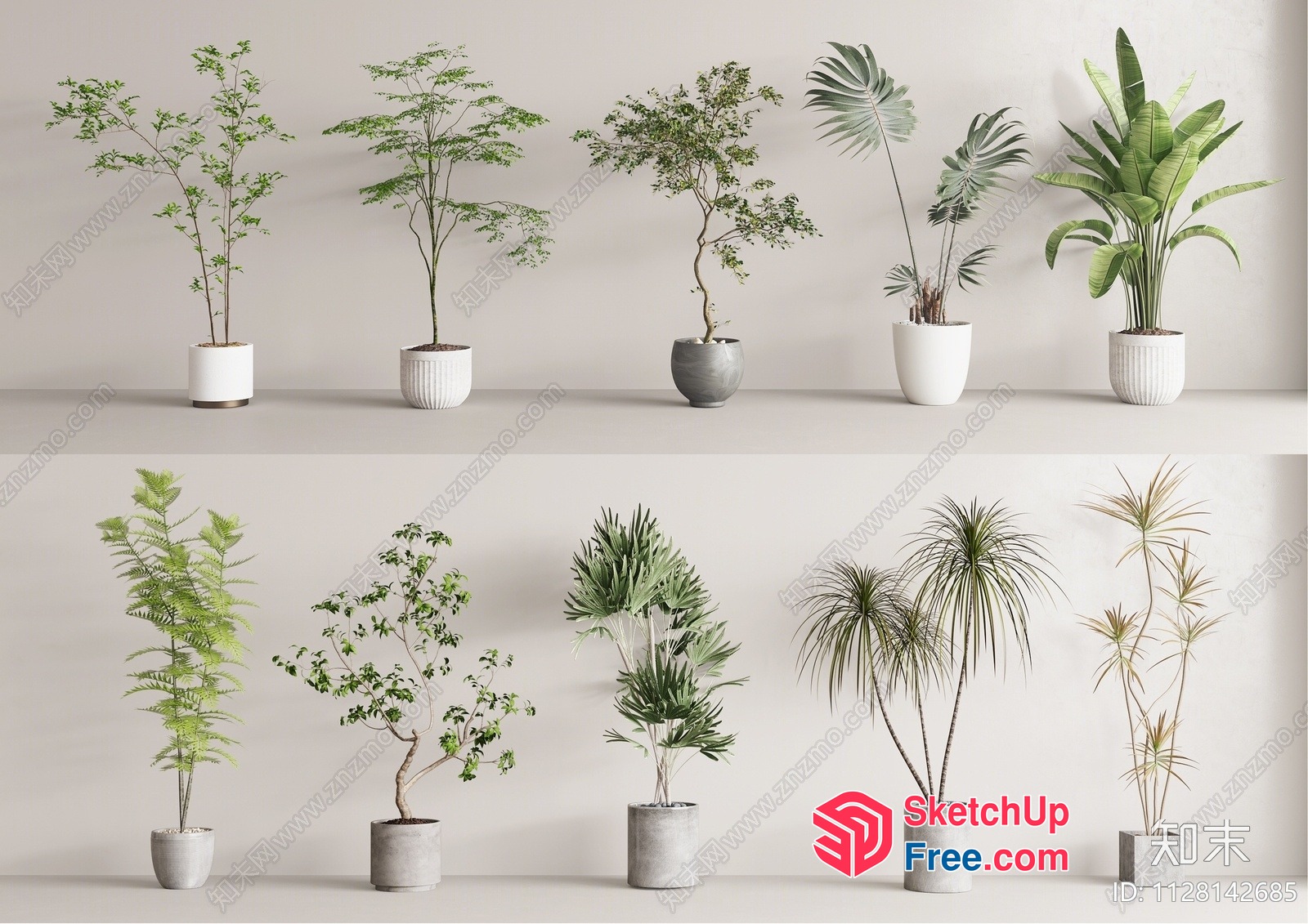 Collection Of Potted Plants 3D SketchUp File