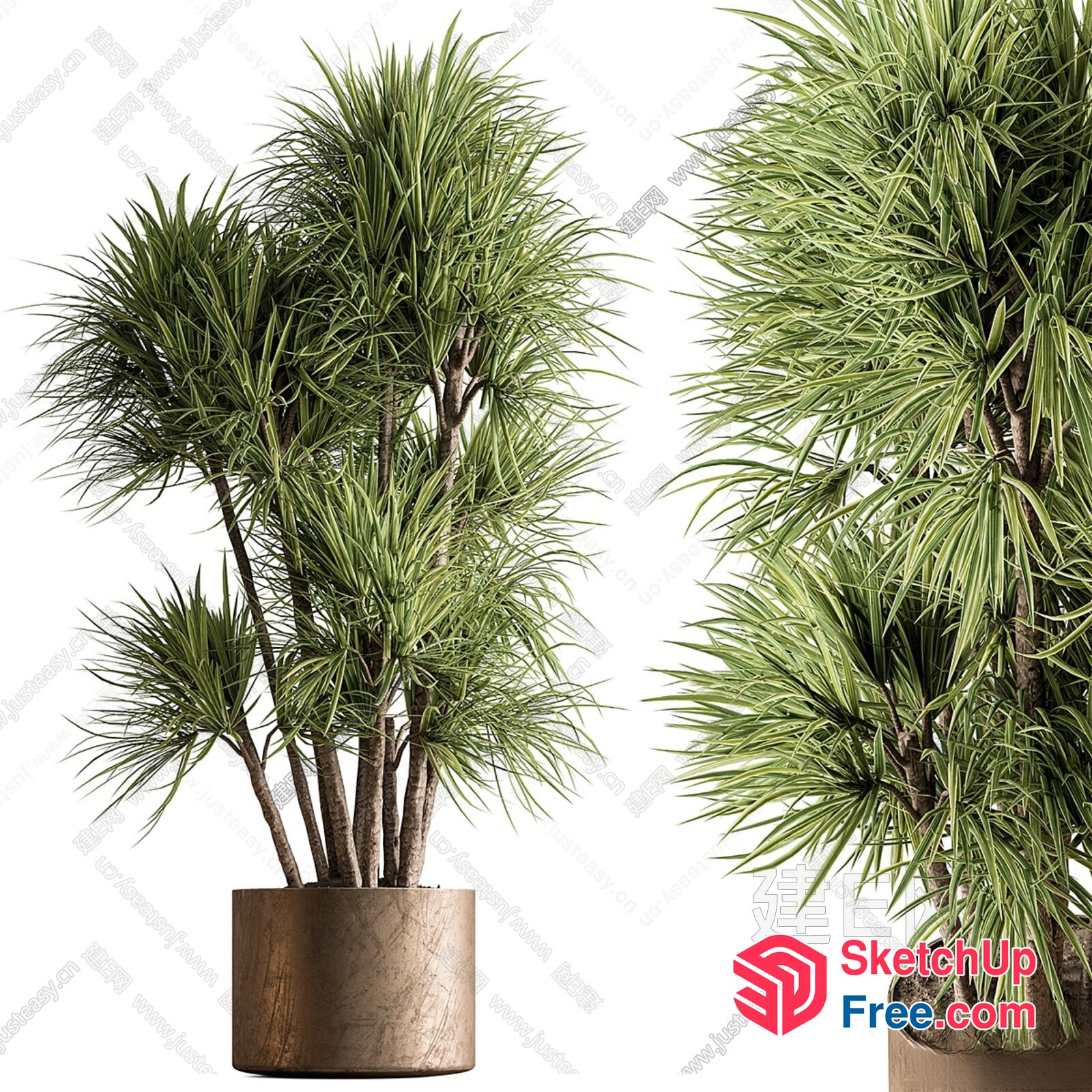 Tall, Green, Long-Leafed Plant In A Brown Pot 3D SketchUp File