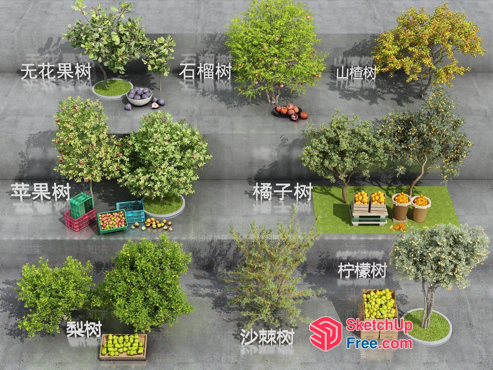 Fruit Trees In Various Settings 3D SketchUp File