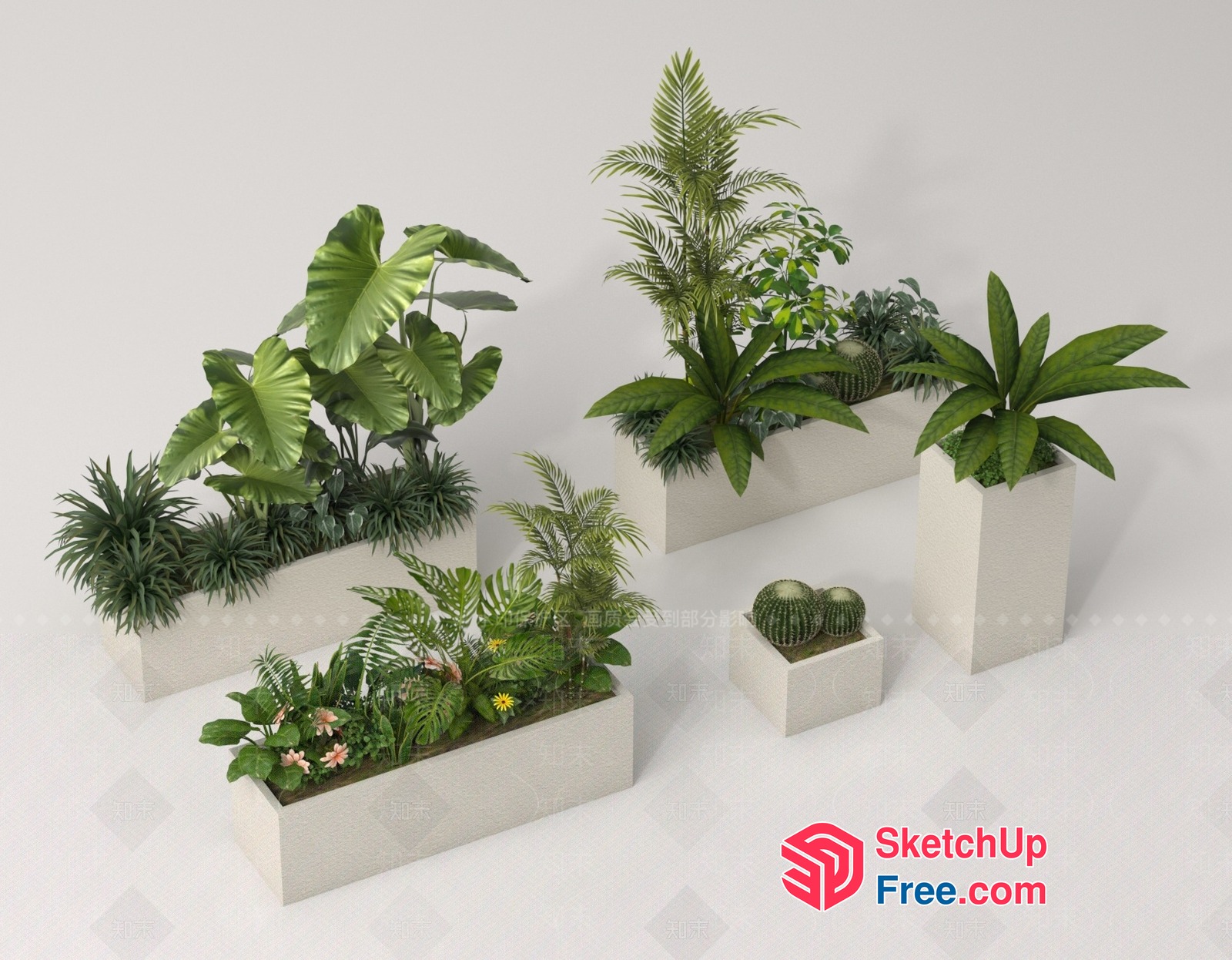 Tropical Plants In White Potted Planters 3D SketchUp File