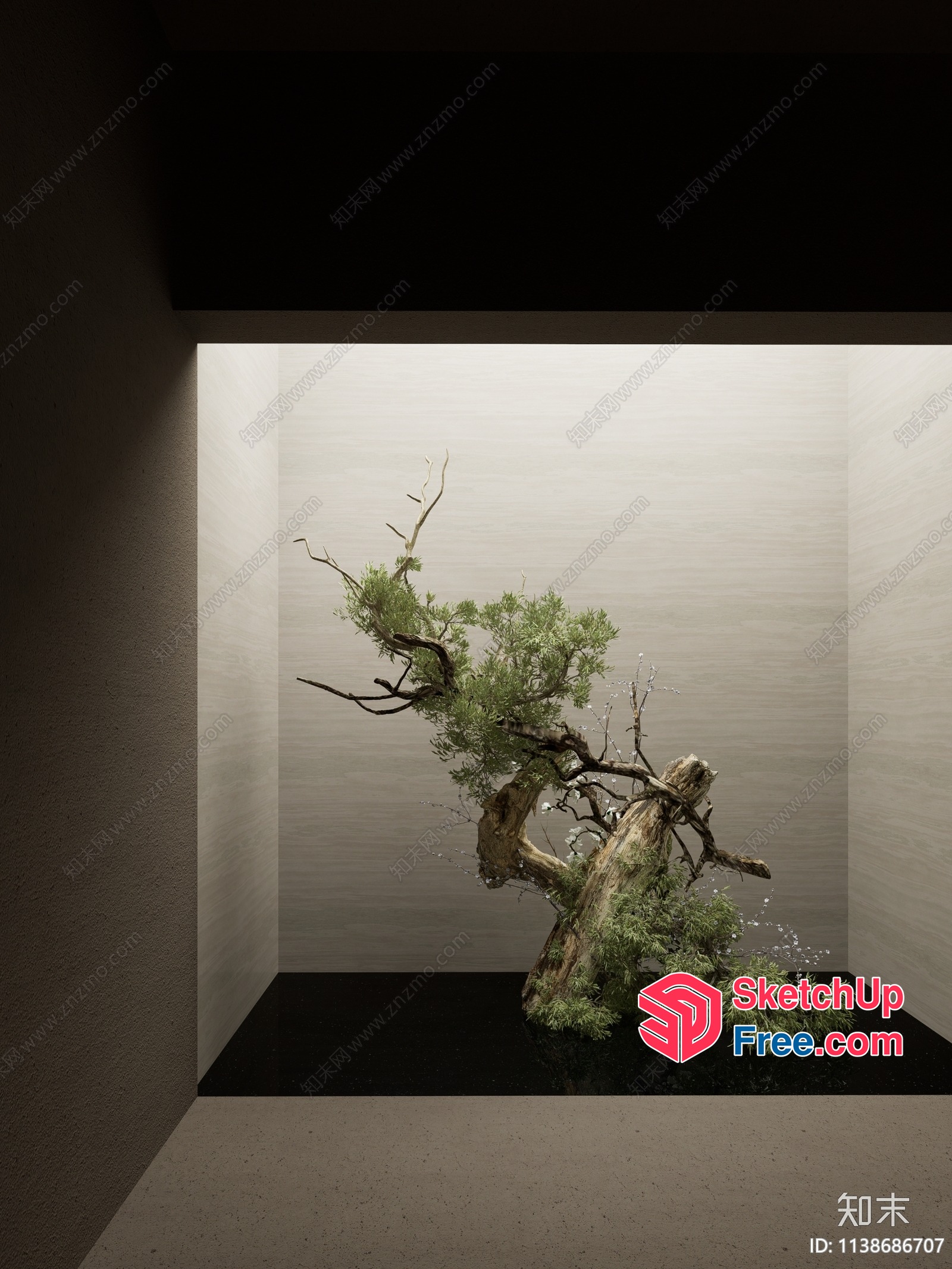 A Wabi-Sabi Style Tree In A Minimalist Room 3D SketchUp File
