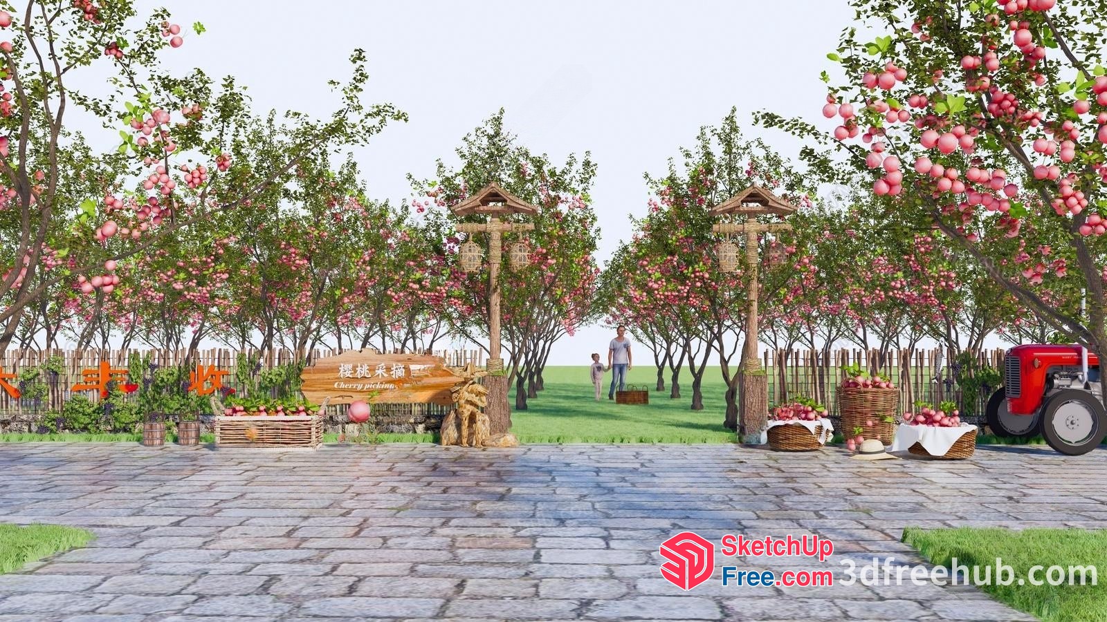 Cherry Picking Orchard Scene 3D SketchUp File