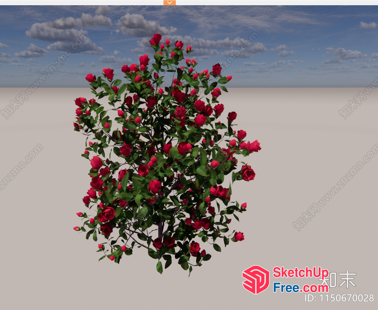 A Rose Bush In A Desert Landscape 3D SketchUp File