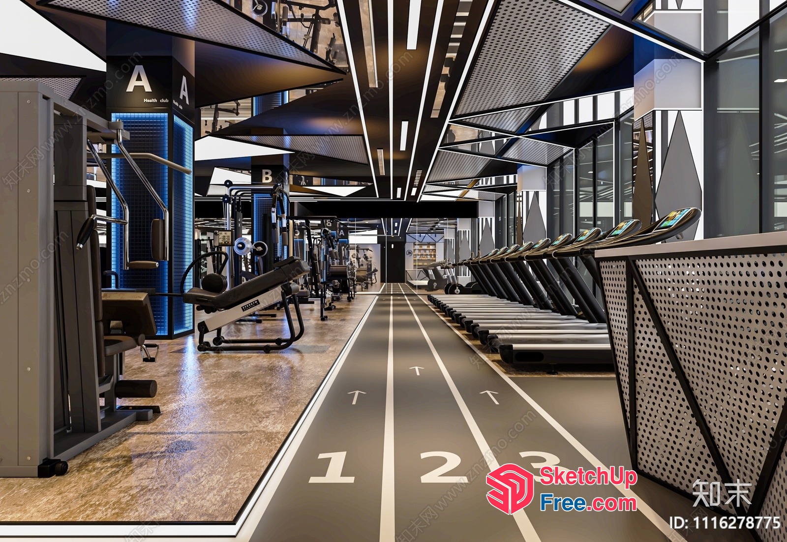 Modern Gym Interior With Sleek Fitness Equipment 3D SketchUp File