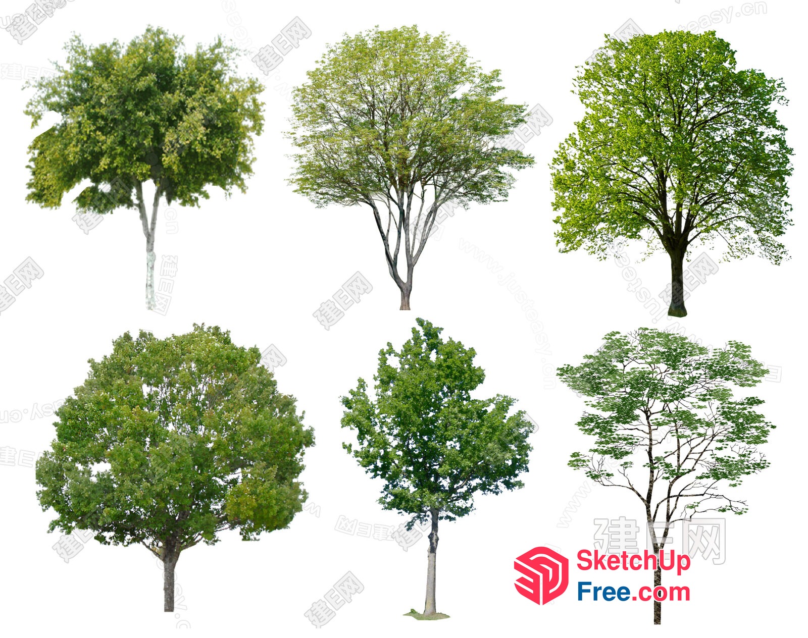 Collection Of Trees 3D SketchUp File