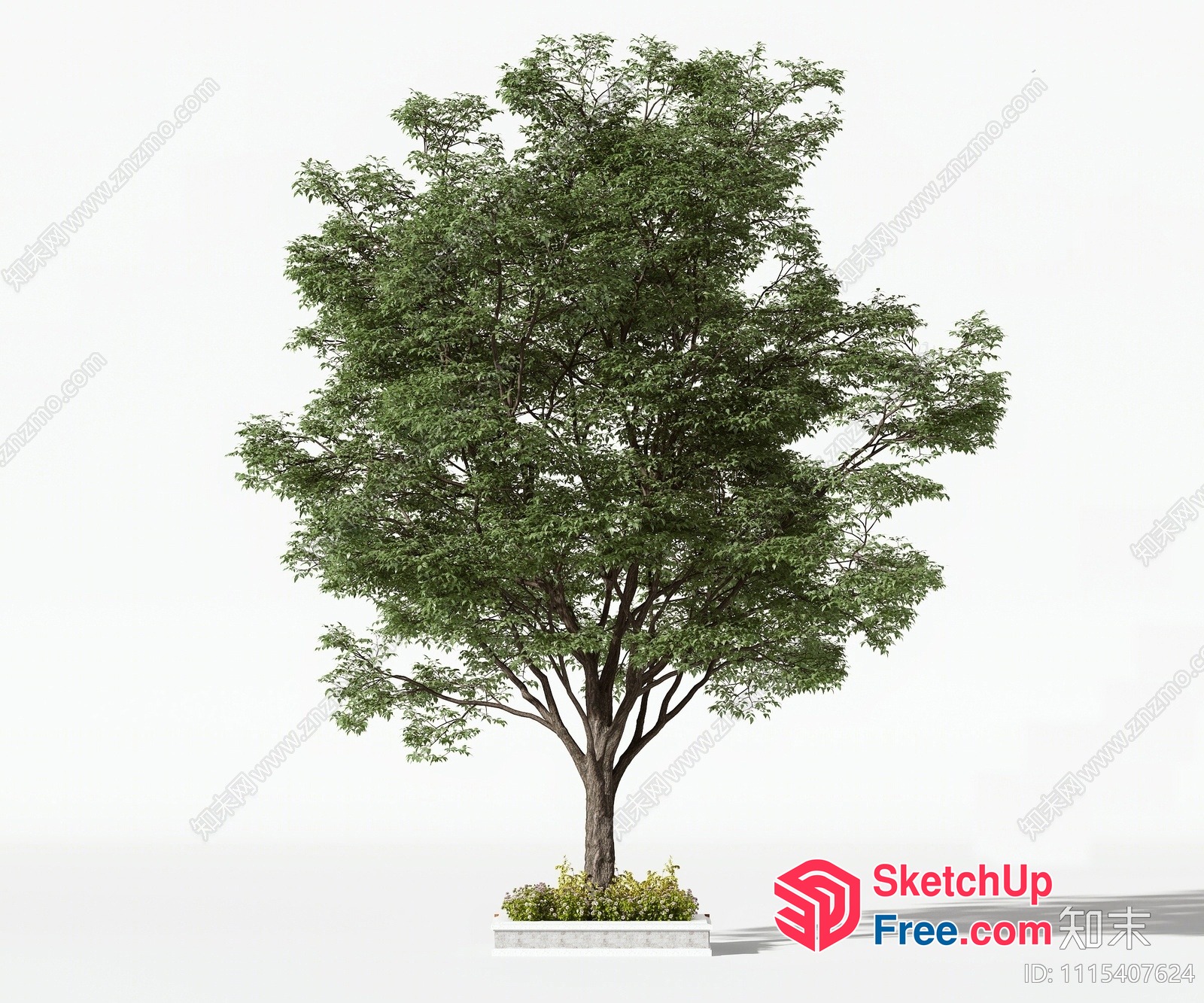 Tree In A Planter Box 3D SketchUp File